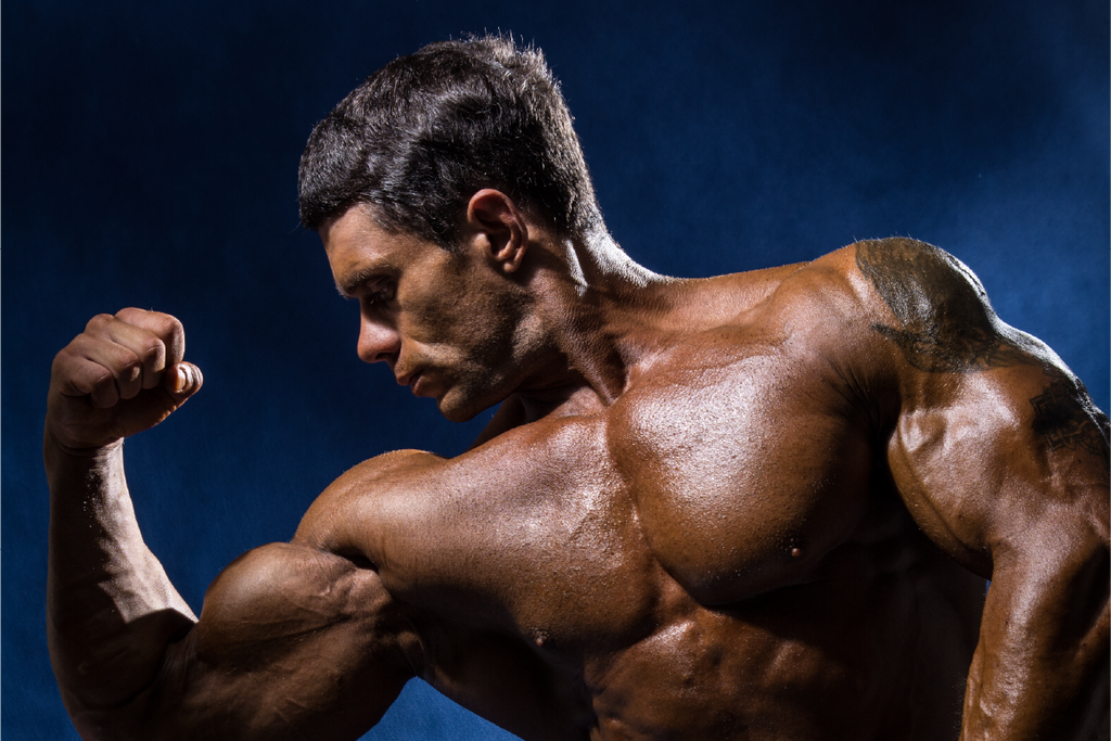 3 Life Lessons from Competitive Bodybuilding